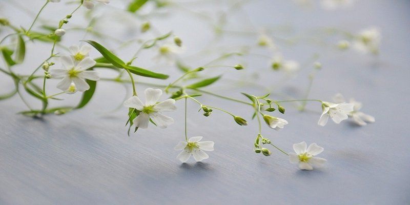 funeral homes in Palos Heights, IL