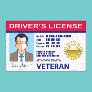 69650810 - veteran drivers license male clip-art illustration vector