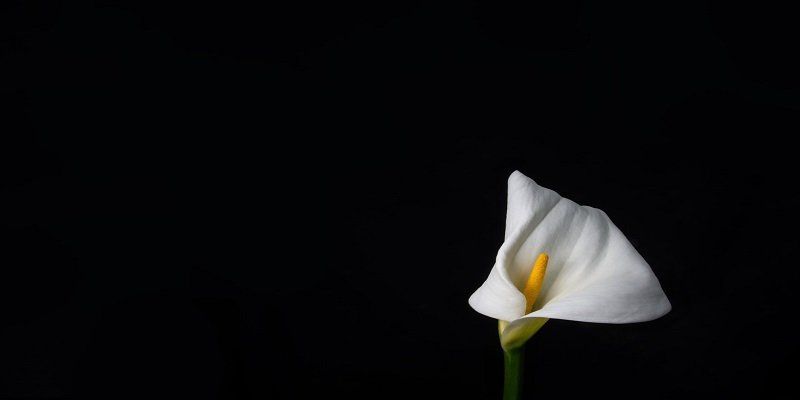 funeral homes in Chicago Ridge, IL